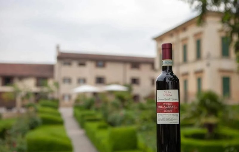 Eseguisci una Rivoluzione con Spin Winera: Risultati Sostenibili e Premi a Italy